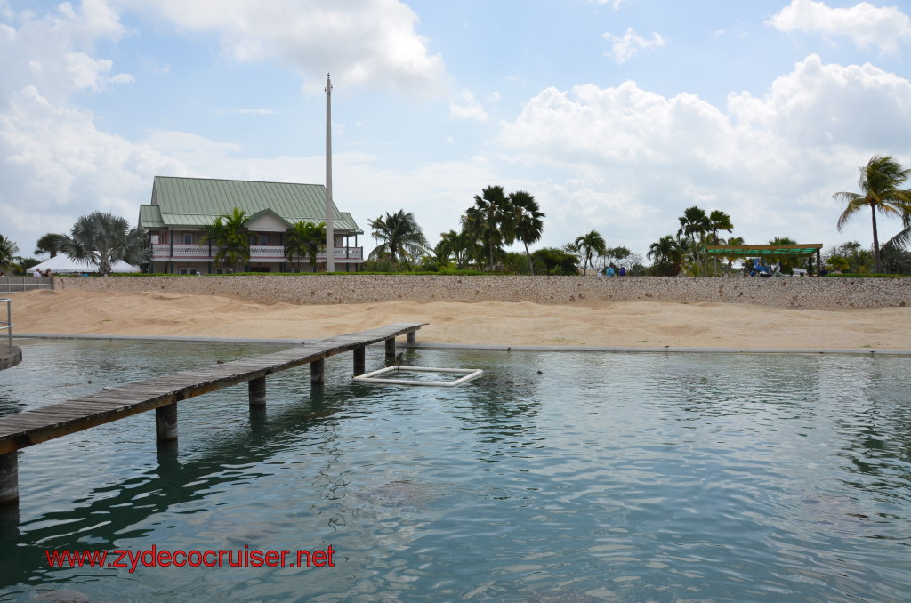 013: Carnival Magic, BC5, John Heald's Bloggers Cruise 5, Grand Cayman, Cayman Turtle Farm, Turtle Breeding Pond, Beach is for egg laying, 