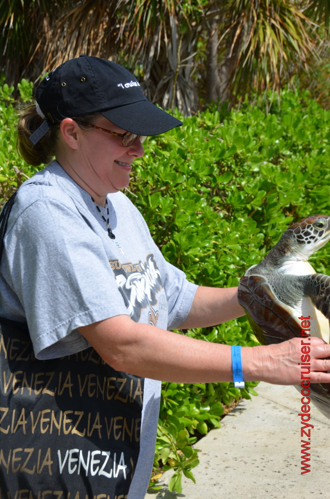 030: Carnival Magic, BC5, John Heald's Bloggers Cruise 5, Grand Cayman, Cayman Turtle Farm, Turtle Display, Touch Tanks, 