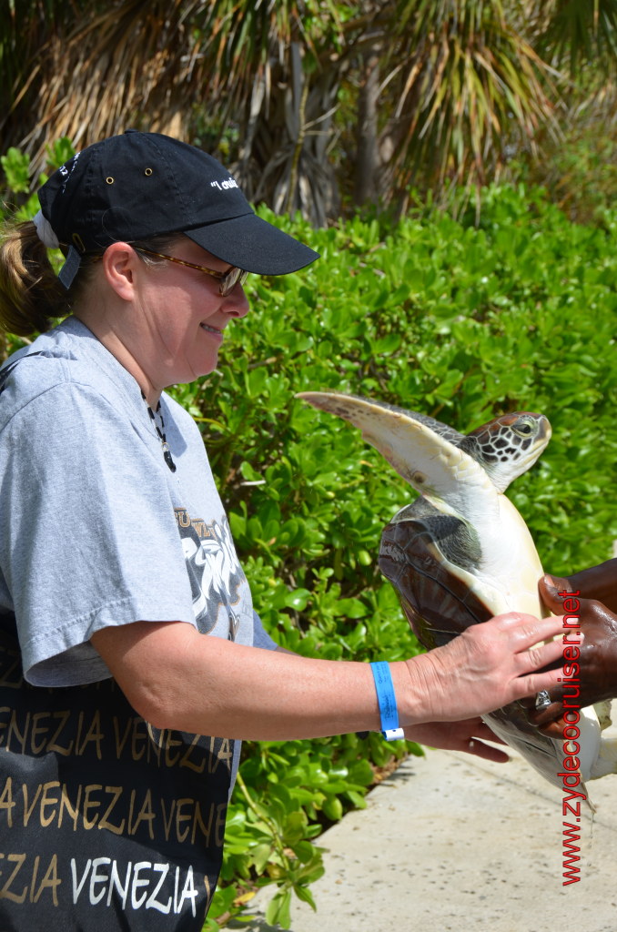 031: Carnival Magic, BC5, John Heald's Bloggers Cruise 5, Grand Cayman, Cayman Turtle Farm, Turtle Display, Touch Tanks, 