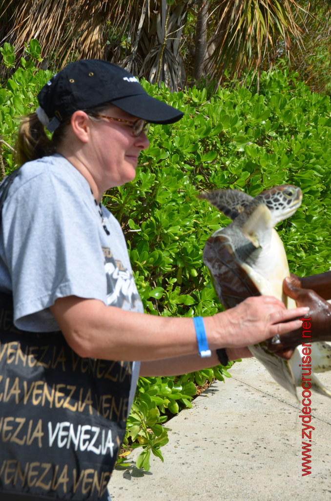 032: Carnival Magic, BC5, John Heald's Bloggers Cruise 5, Grand Cayman, Cayman Turtle Farm, Turtle Display, Touch Tanks, 