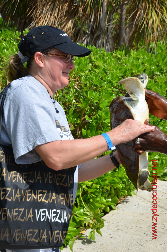 033: Carnival Magic, BC5, John Heald's Bloggers Cruise 5, Grand Cayman, Cayman Turtle Farm, Turtle Display, Touch Tanks, 