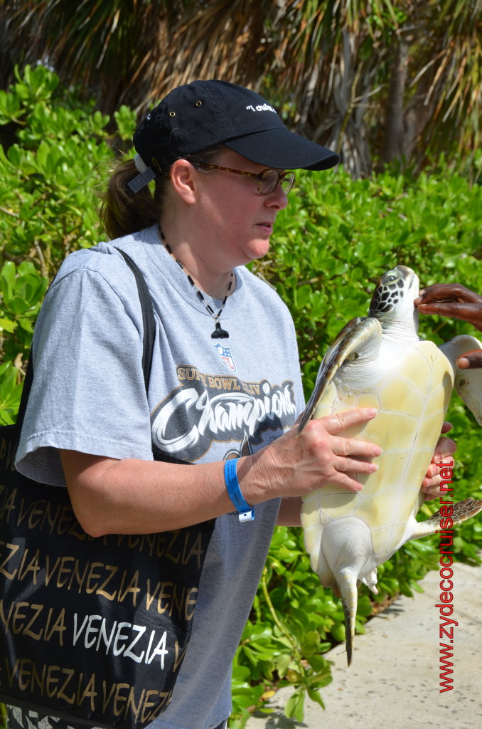 034: Carnival Magic, BC5, John Heald's Bloggers Cruise 5, Grand Cayman, Cayman Turtle Farm, Turtle Display, Touch Tanks, 