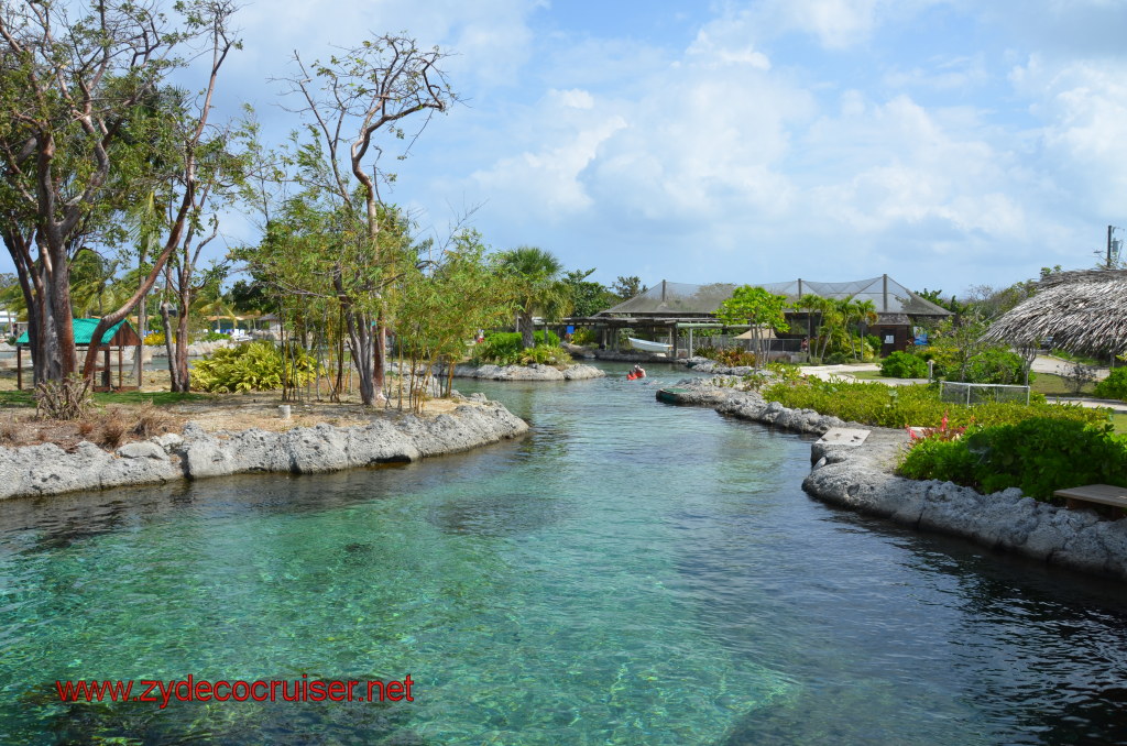 056: Carnival Magic, BC5, John Heald's Bloggers Cruise 5, Grand Cayman, Cayman Turtle Farm, Turtle Lagoon, 