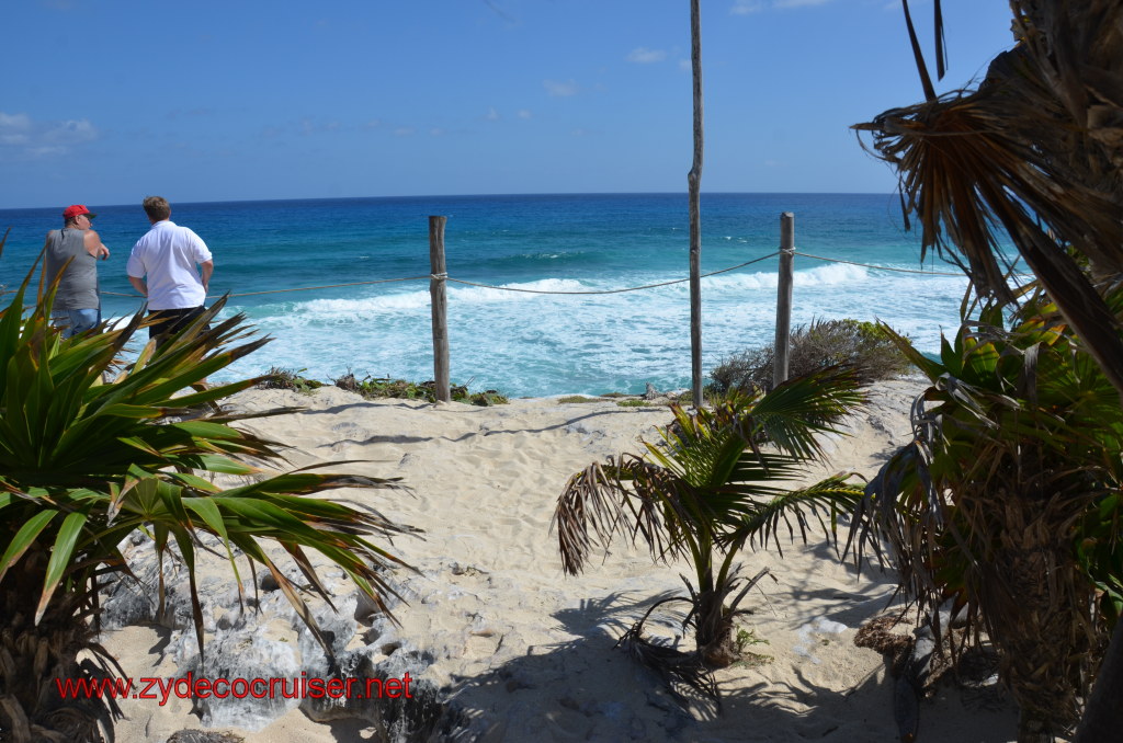 199: Carnival Magic, BC5, John Heald's Bloggers Cruise 5, Cozumel, Island Taxi Tour, Coconuts, 