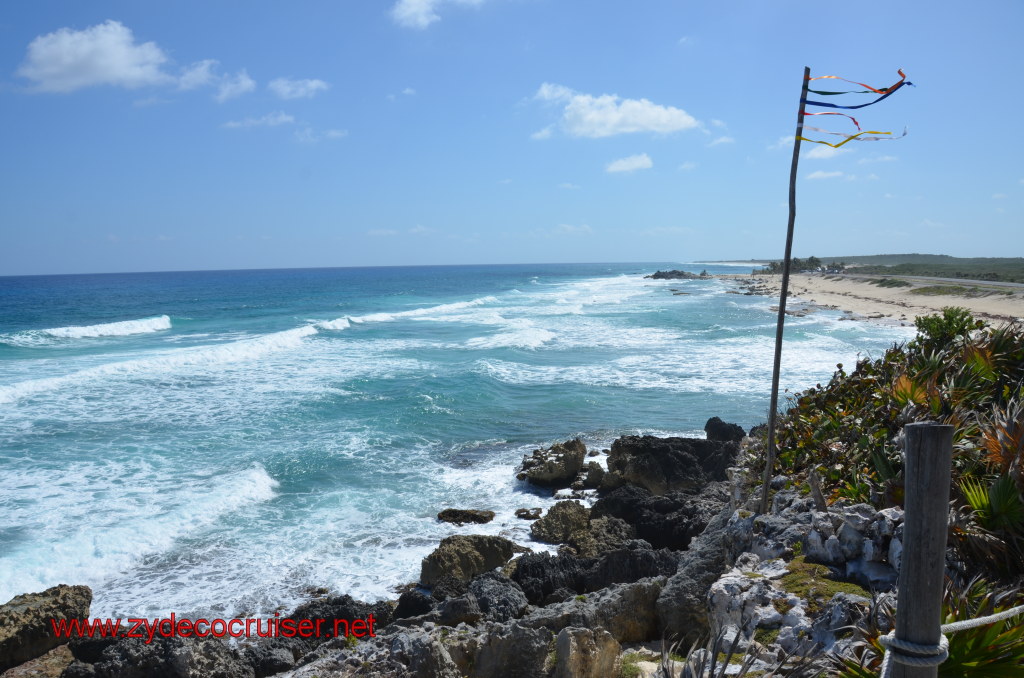 202: Carnival Magic, BC5, John Heald's Bloggers Cruise 5, Cozumel, Island Taxi Tour, Coconuts, 