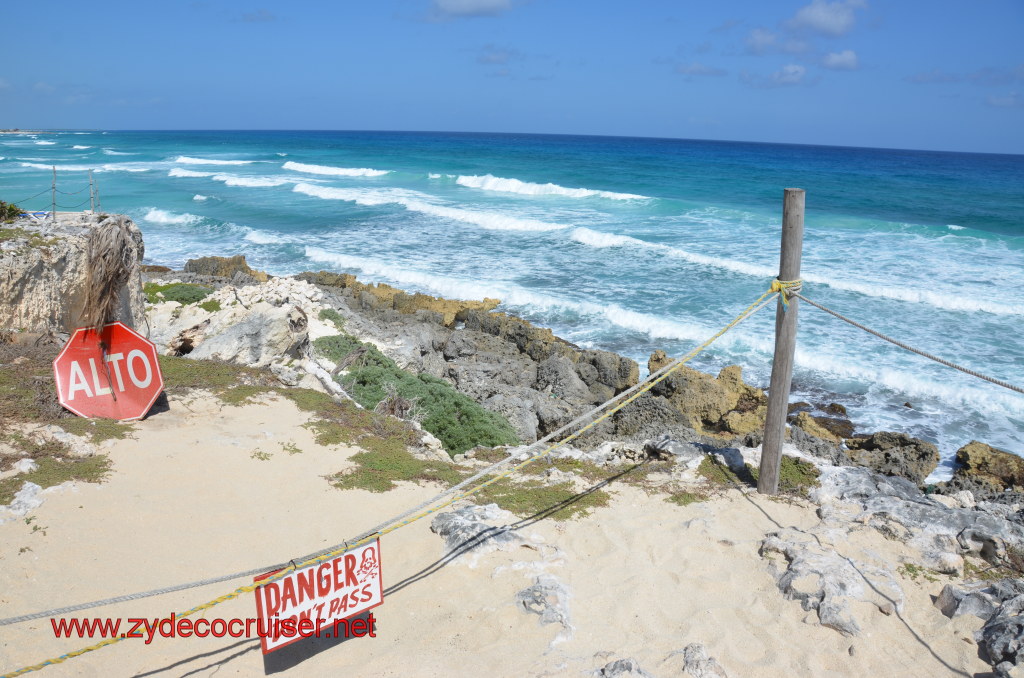 203: Carnival Magic, BC5, John Heald's Bloggers Cruise 5, Cozumel, Island Taxi Tour, Coconuts, 