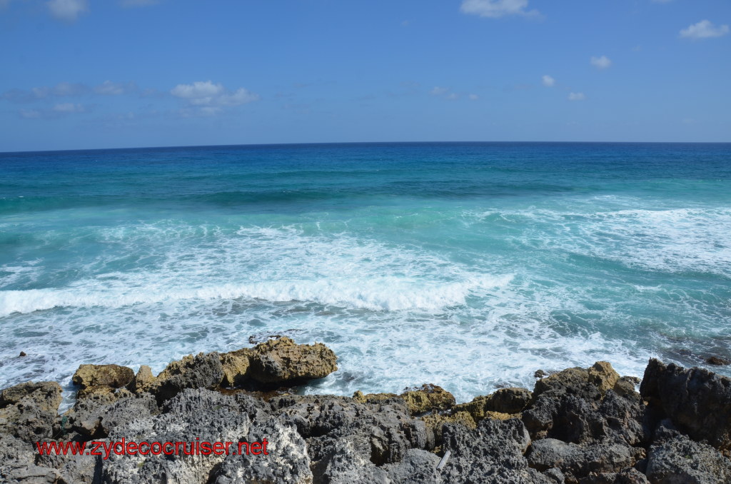 210: Carnival Magic, BC5, John Heald's Bloggers Cruise 5, Cozumel, Island Taxi Tour, Coconuts, 