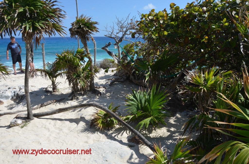 224: Carnival Magic, BC5, John Heald's Bloggers Cruise 5, Cozumel, Island Taxi Tour, Coconuts, 