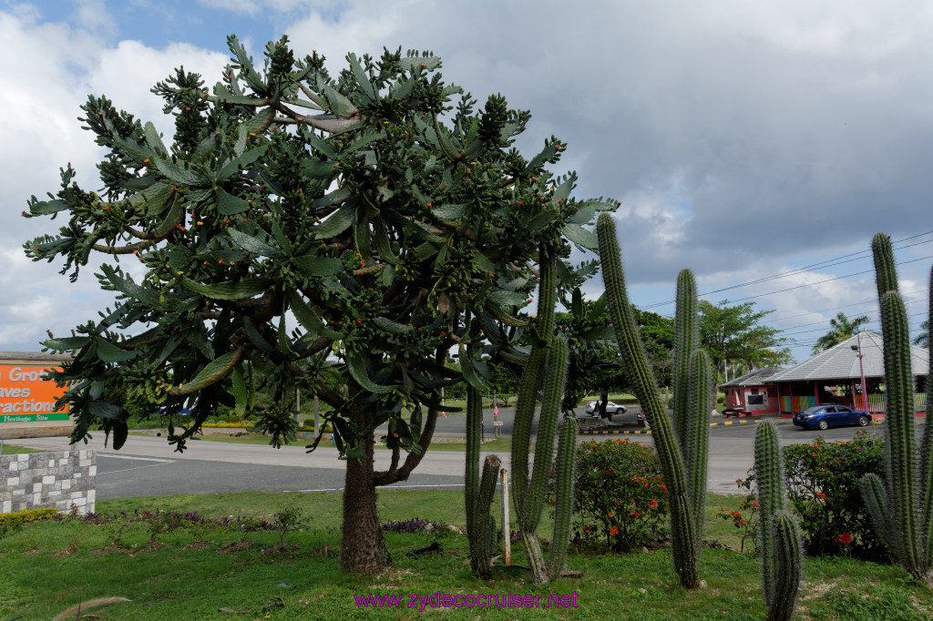 019: Carnival Breeze Cruise, Ocho Rios, Jamaica, 