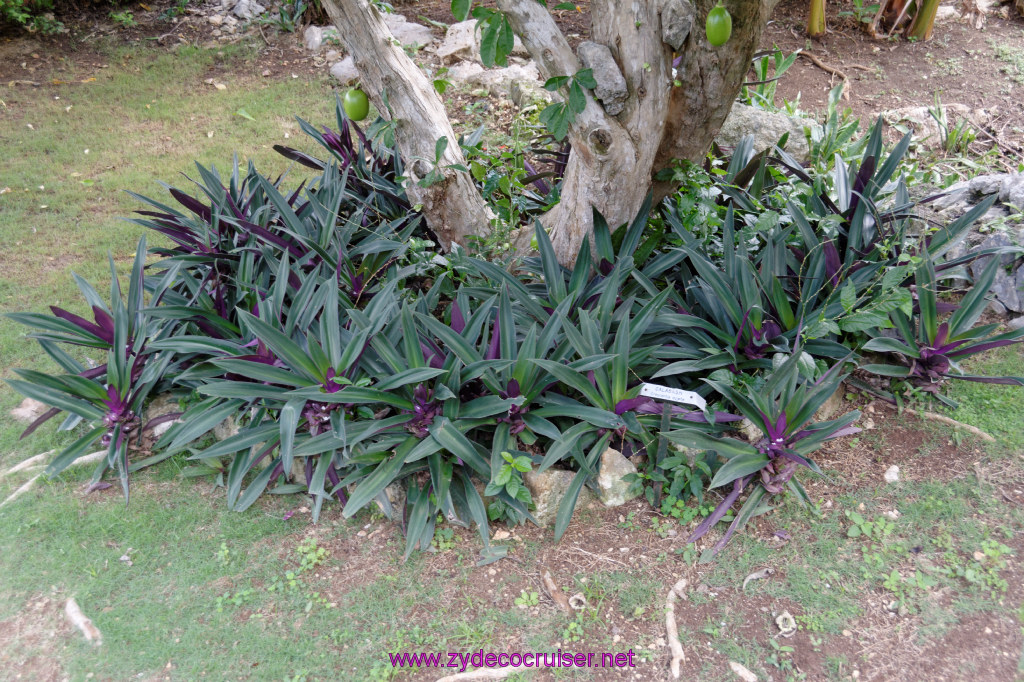 027: Carnival Breeze Cruise, Ocho Rios, Jamaica, 