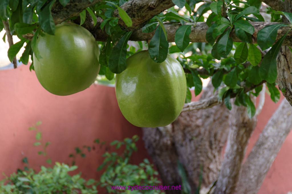 028: Carnival Breeze Cruise, Ocho Rios, Jamaica, 