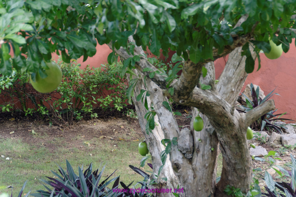 036: Carnival Breeze Cruise, Ocho Rios, Jamaica, 