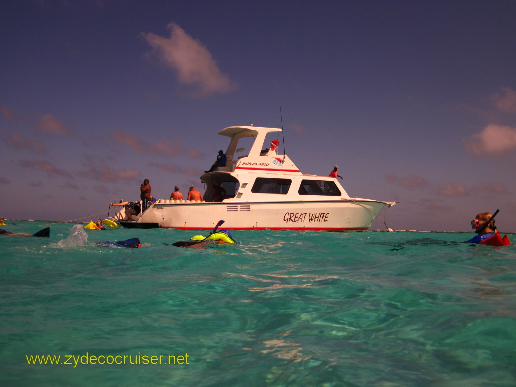 052: Carnival Conquest Cruise, Nov 16, 2011, Belize, Coral Breeze (Hammerhead Water Sports), Shark/Ray Snorkeling and Caye Caulker Exploration,