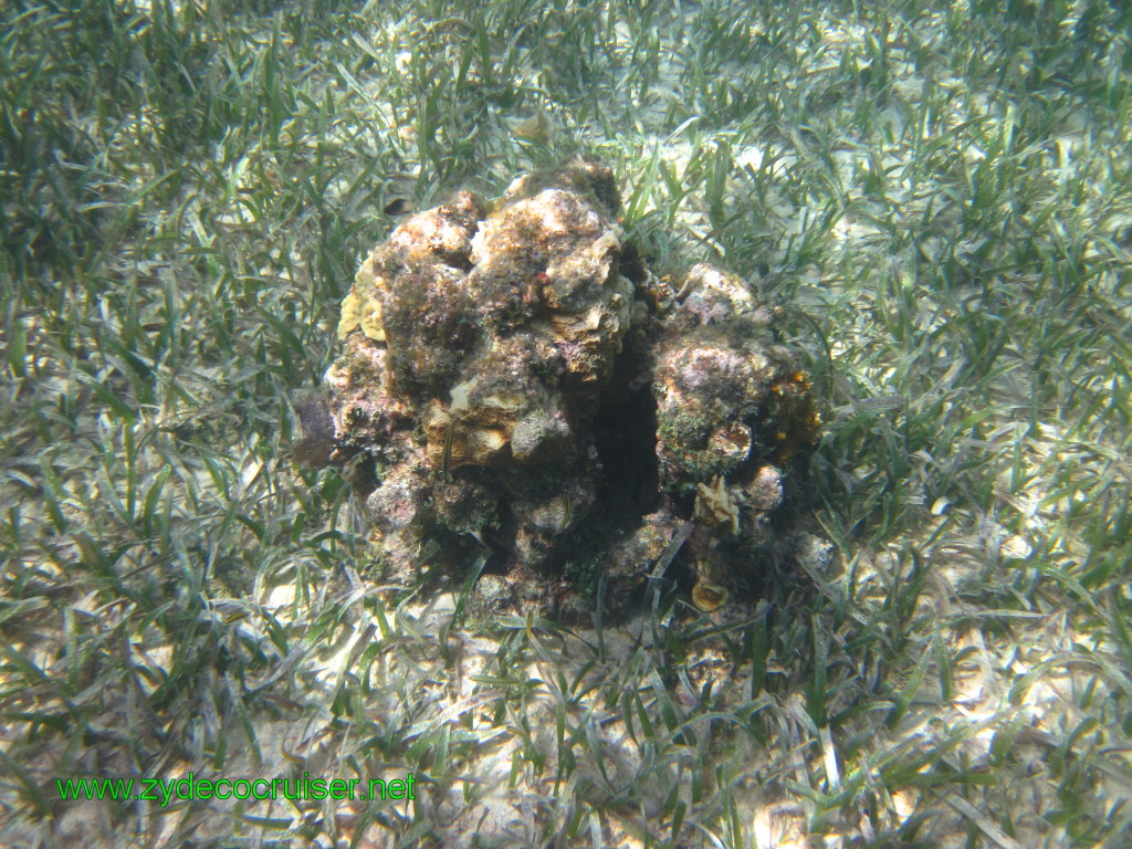 094: Carnival Conquest, Nov 17, 2011, Roatan, Victor Bodden Tour, Snorkeling, 