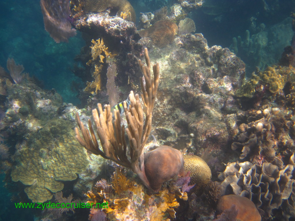 105: Carnival Conquest, Nov 17, 2011, Roatan, Victor Bodden Tour, Snorkeling, 