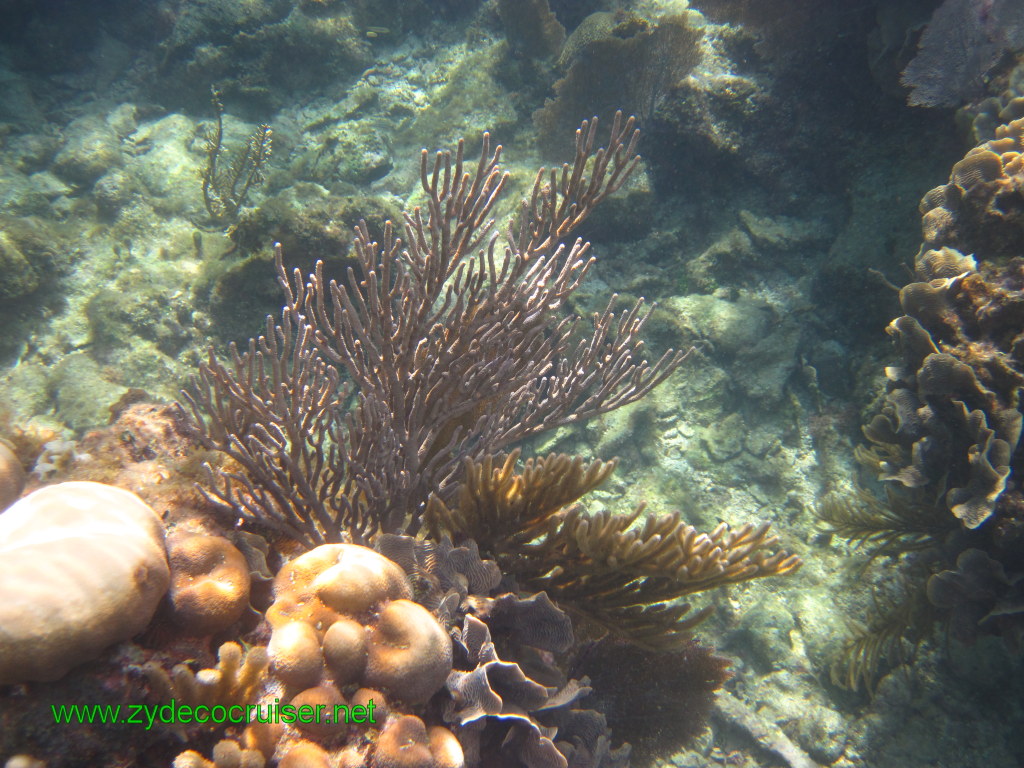 121: Carnival Conquest, Nov 17, 2011, Roatan, Victor Bodden Tour, Snorkeling, 