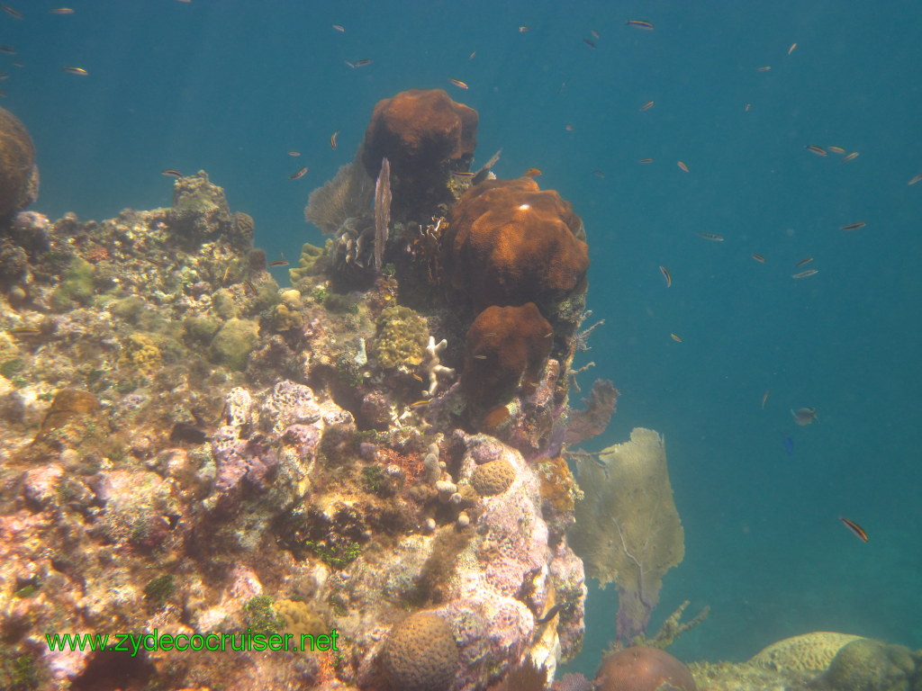 122: Carnival Conquest, Nov 17, 2011, Roatan, Victor Bodden Tour, Snorkeling, 