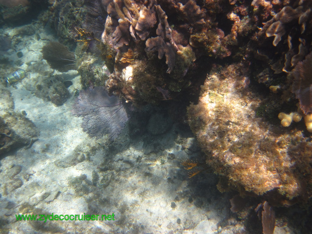 131: Carnival Conquest, Nov 17, 2011, Roatan, Victor Bodden Tour, Snorkeling, 