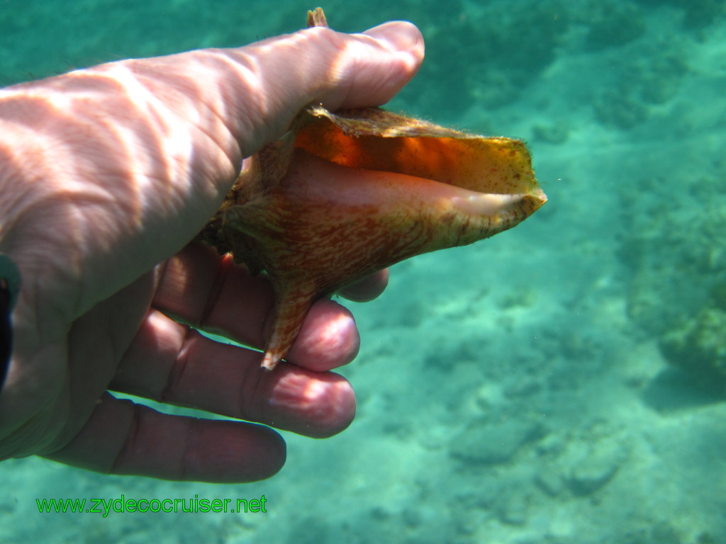 154: Carnival Conquest, Nov 17, 2011, Roatan, Victor Bodden Tour, Snorkeling, 