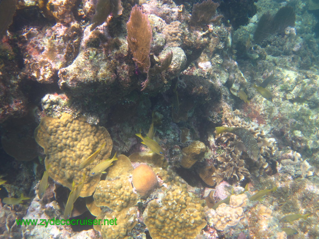 155: Carnival Conquest, Nov 17, 2011, Roatan, Victor Bodden Tour, Snorkeling, 