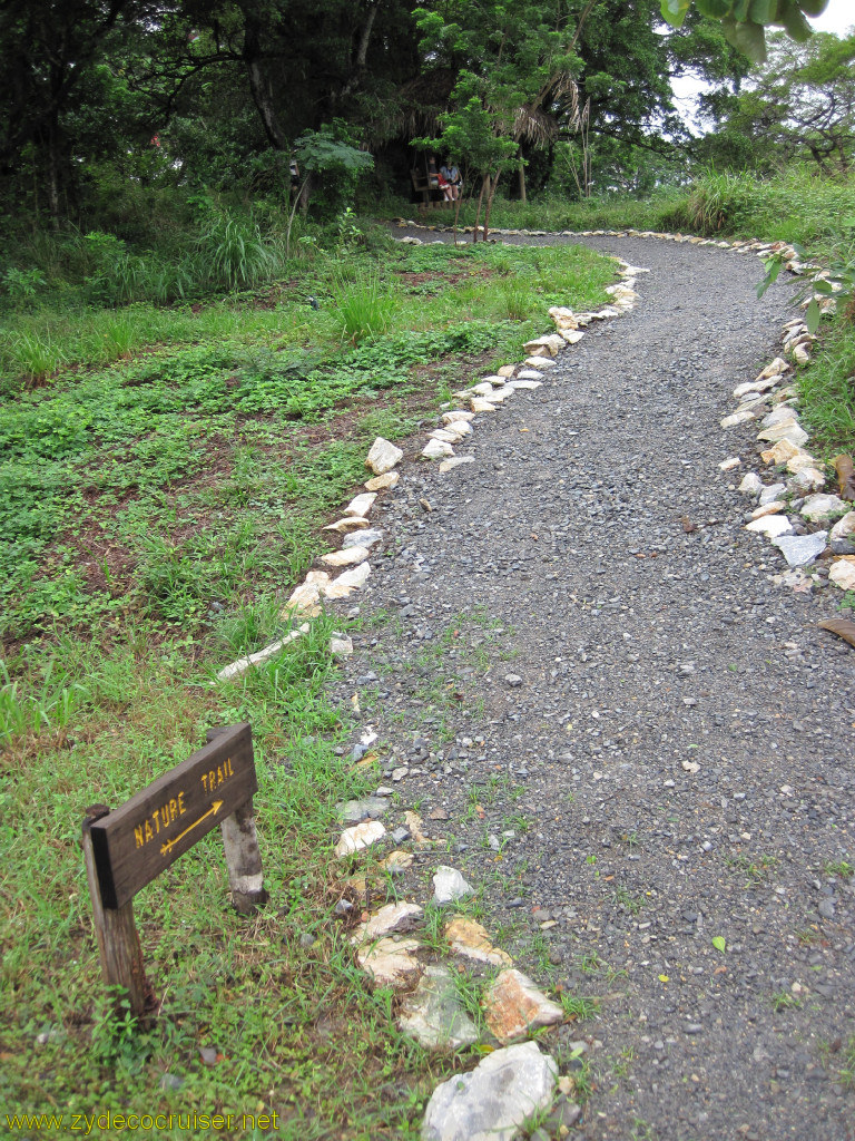 025: Carnival Conquest, Roatan, Walking to Mahogany Beach, you have the opportunity to walk along some Nature Trails. Maybe next time, I'll have time.