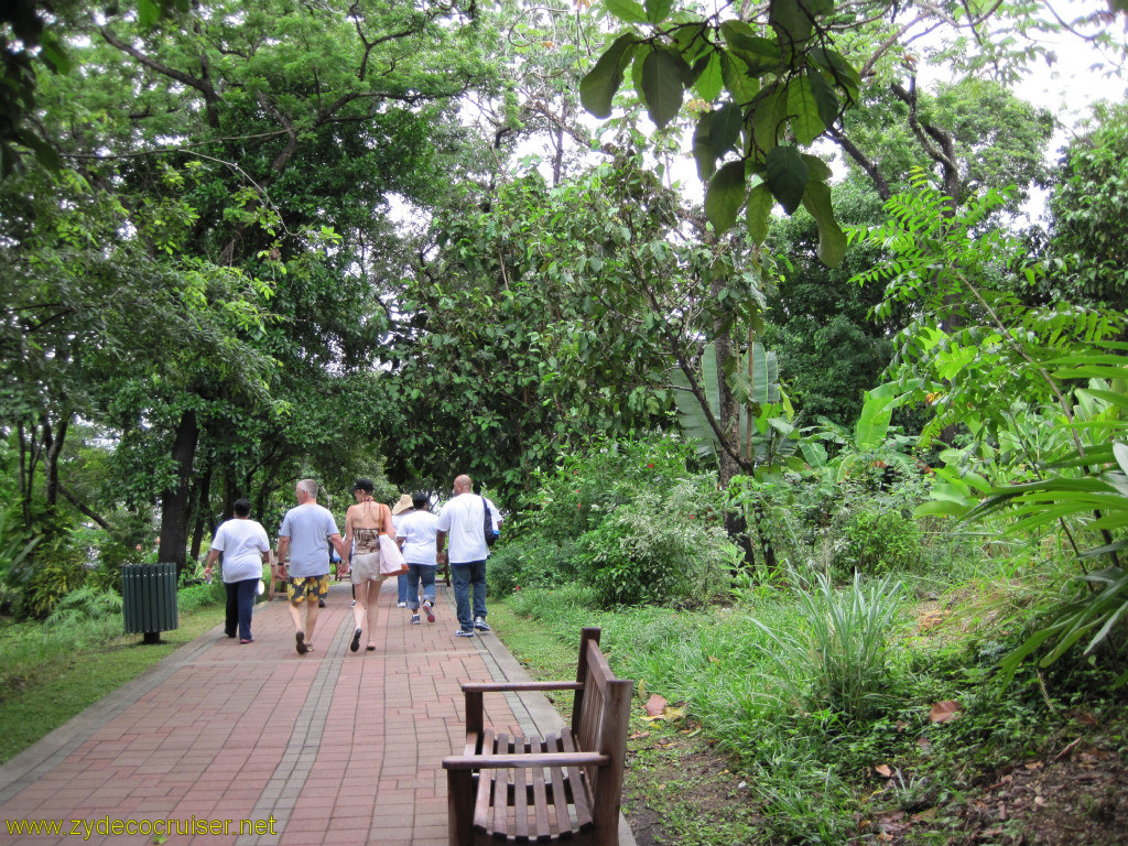 026: Carnival Conquest, Roatan, Walking to Mahogany Beach,