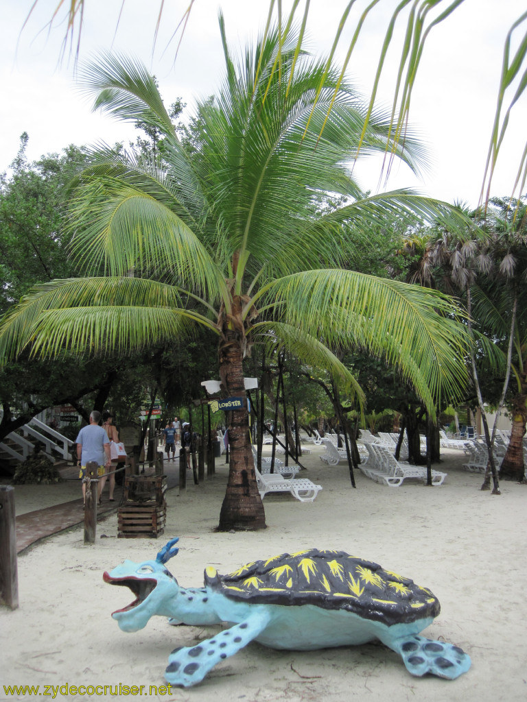 055: Carnival Conquest, Roatan, Mahogany Beach, Looks like a tortuga