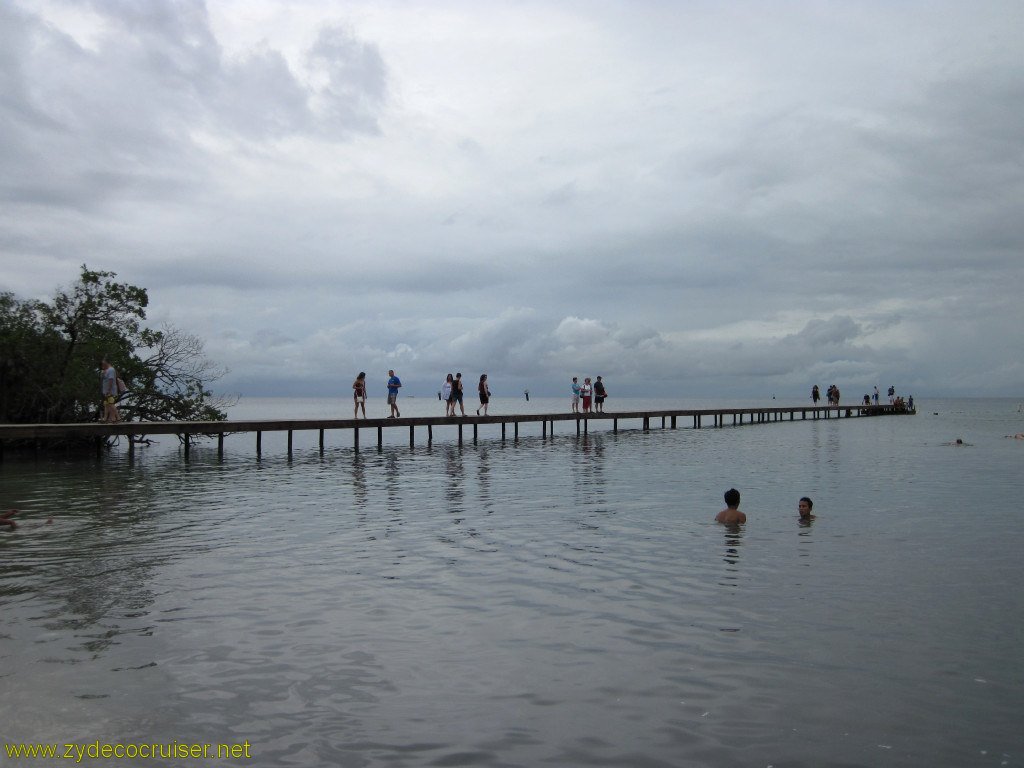 067: Carnival Conquest, Roatan, Mahogany Beach, from the end of the pier is where you want to start snorkeling, 