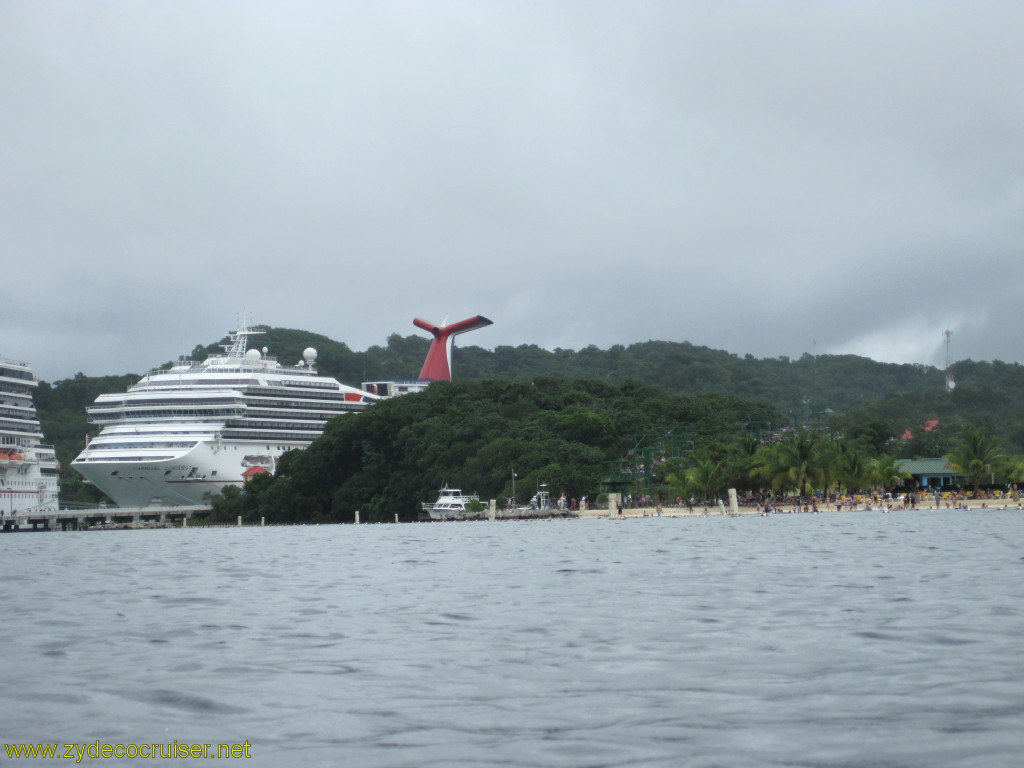 126: Carnival Conquest, Roatan, Snorkeling off of Mahogany Beach, 