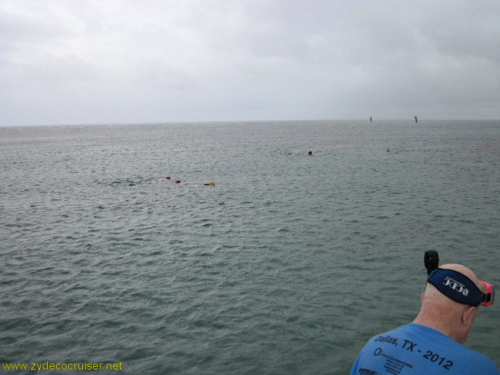 138: Carnival Conquest, Roatan, Snorkeling off of Mahogany Beach, 