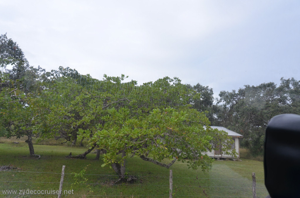 027: Carnival Conquest, Belize, Belize City Tour and Altun Ha, 