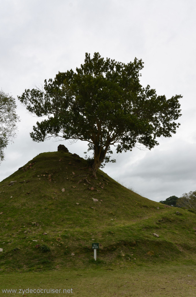 062: Carnival Conquest, Belize, Belize City Tour and Altun Ha, All Spice, 