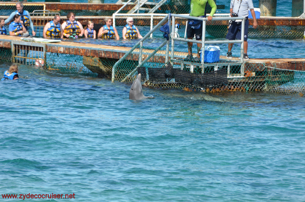 035: Carnival Conquest, Cozumel, Chankanaab, Dolphins, 