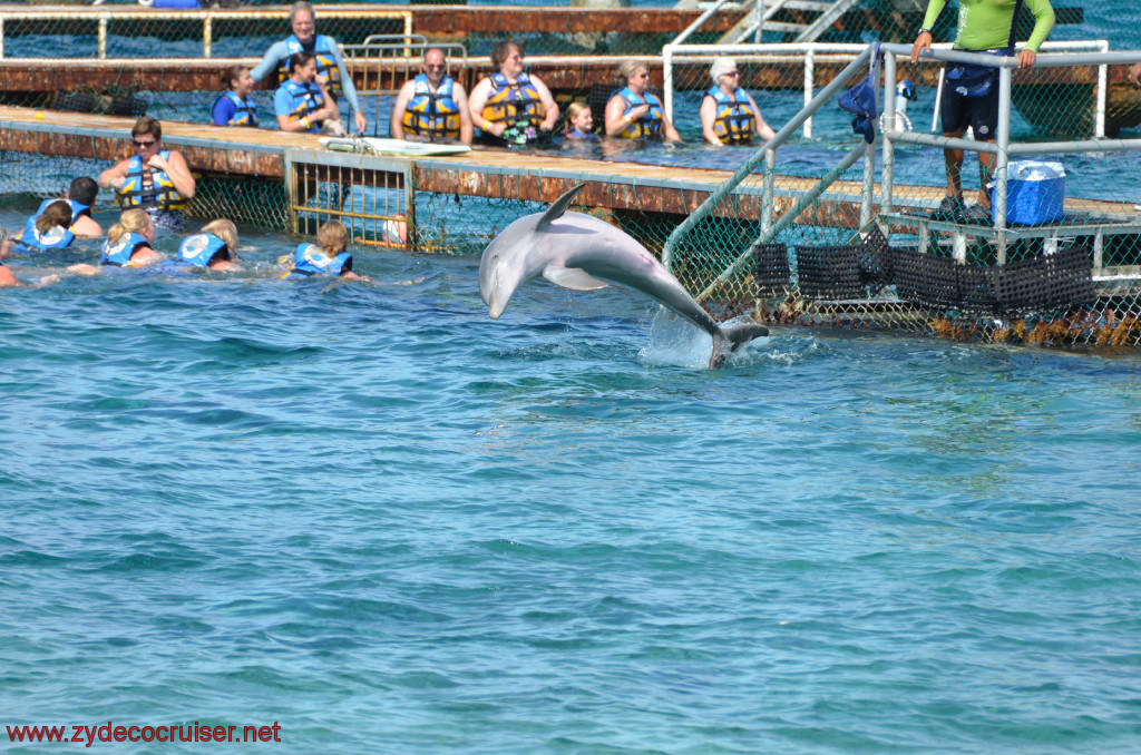 036: Carnival Conquest, Cozumel, Chankanaab, Dolphins, 