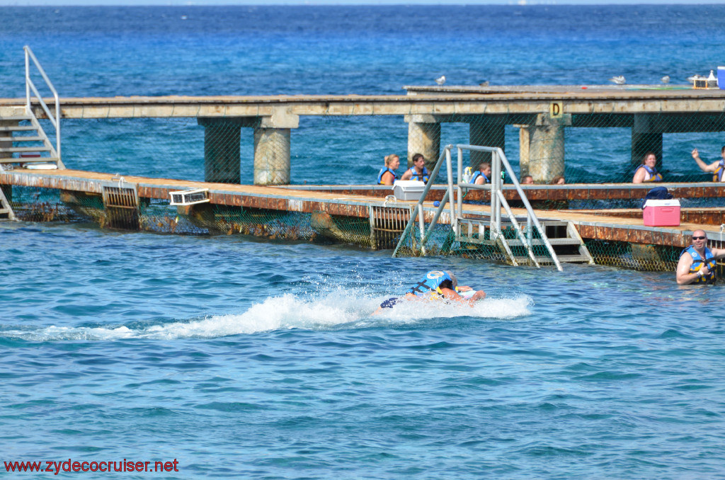 037: Carnival Conquest, Cozumel, Chankanaab, Dolphins, 