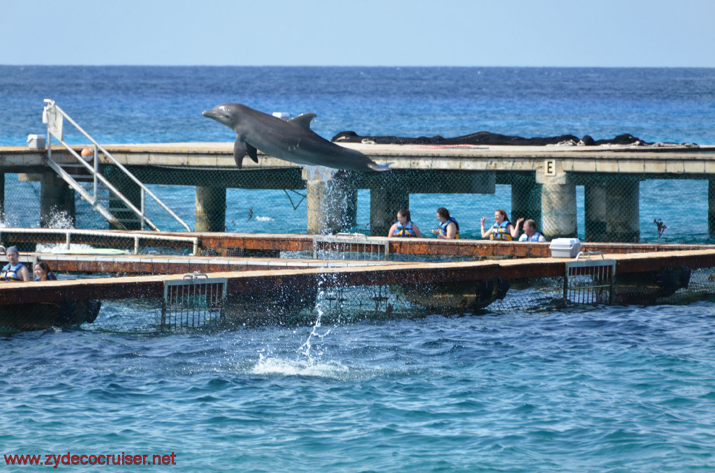 038: Carnival Conquest, Cozumel, Chankanaab, Dolphins, 