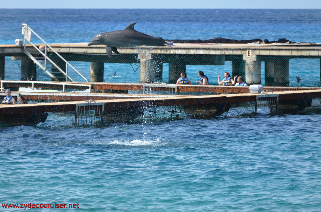 039: Carnival Conquest, Cozumel, Chankanaab, Dolphins, 