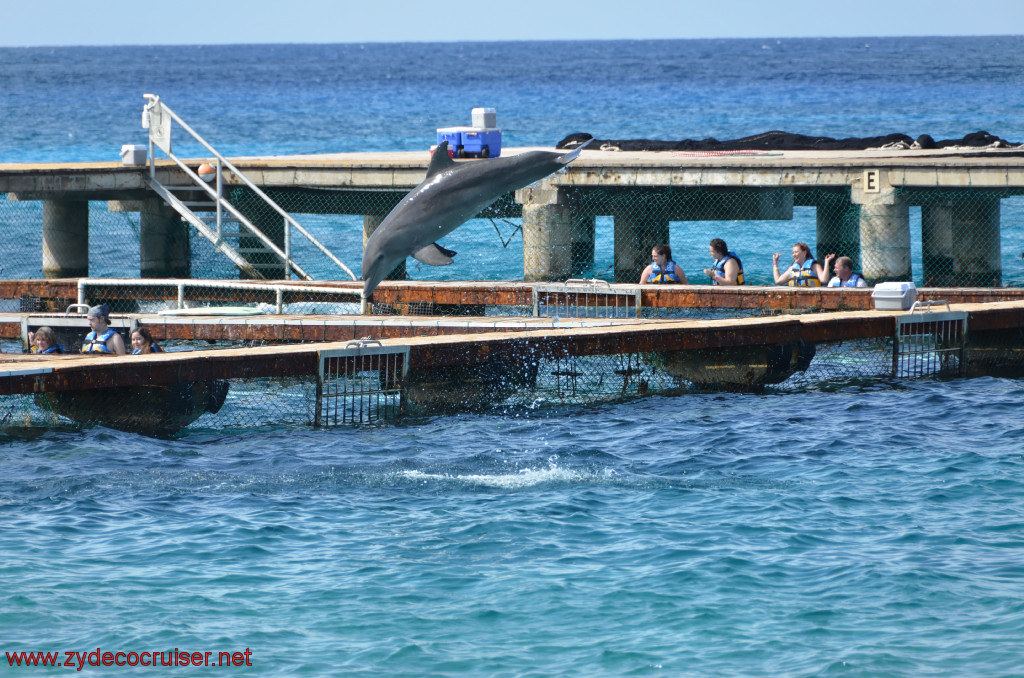 040: Carnival Conquest, Cozumel, Chankanaab, Dolphins, 