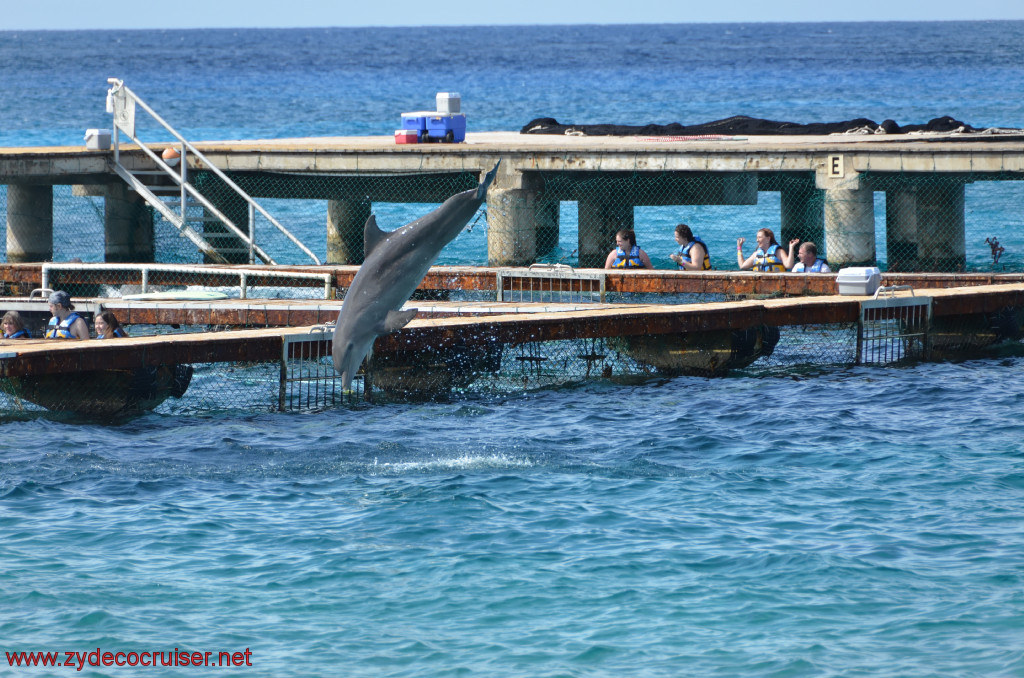 041: Carnival Conquest, Cozumel, Chankanaab, Dolphins, 