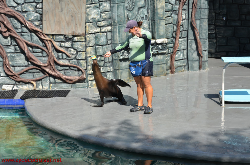 108: Carnival Conquest, Cozumel, Chankanaab,  (free) Sea Lion Show, 