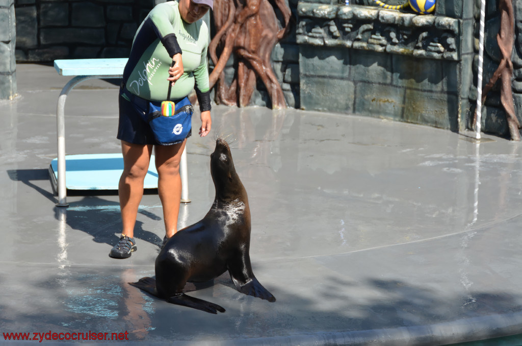 117: Carnival Conquest, Cozumel, Chankanaab,  (free) Sea Lion Show, 