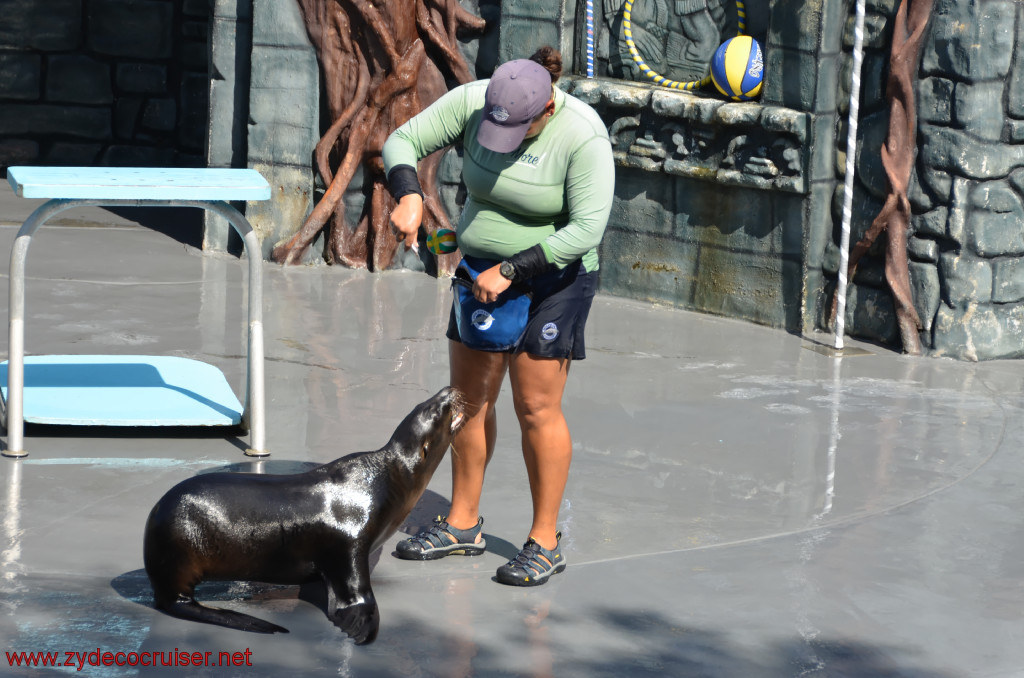 148: Carnival Conquest, Cozumel, Chankanaab,  (free) Sea Lion Show, 