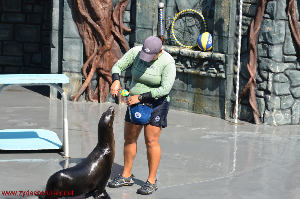 150: Carnival Conquest, Cozumel, Chankanaab,  (free) Sea Lion Show, 