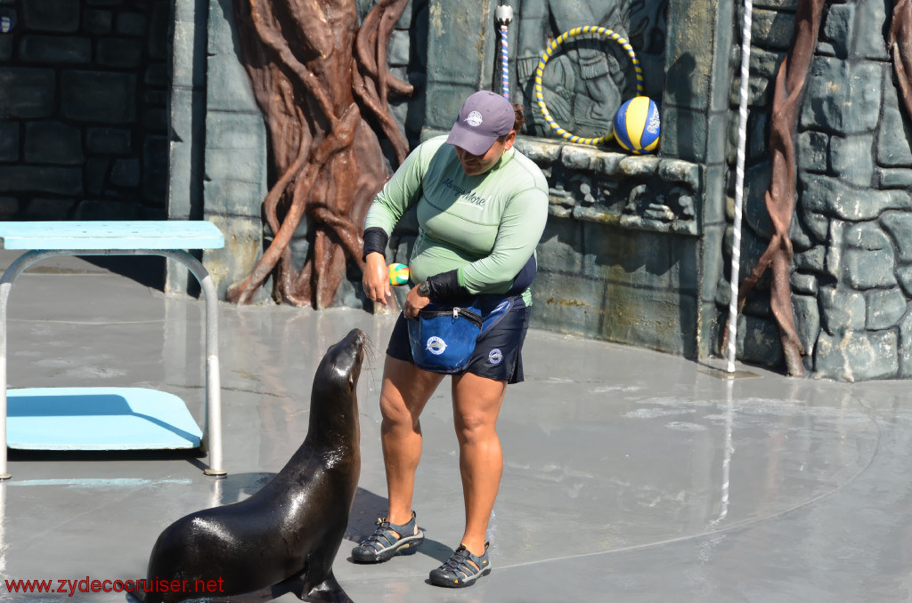 151: Carnival Conquest, Cozumel, Chankanaab,  (free) Sea Lion Show, 