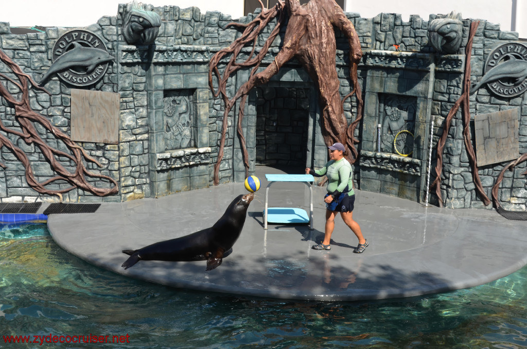 161: Carnival Conquest, Cozumel, Chankanaab,  (free) Sea Lion Show, 