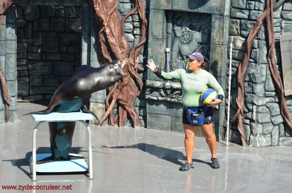 172: Carnival Conquest, Cozumel, Chankanaab,  (free) Sea Lion Show, 