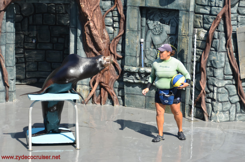 173: Carnival Conquest, Cozumel, Chankanaab,  (free) Sea Lion Show, 