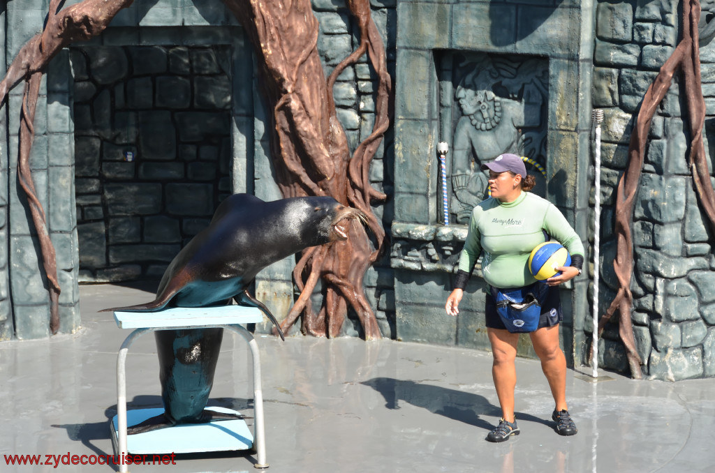 175: Carnival Conquest, Cozumel, Chankanaab,  (free) Sea Lion Show, 