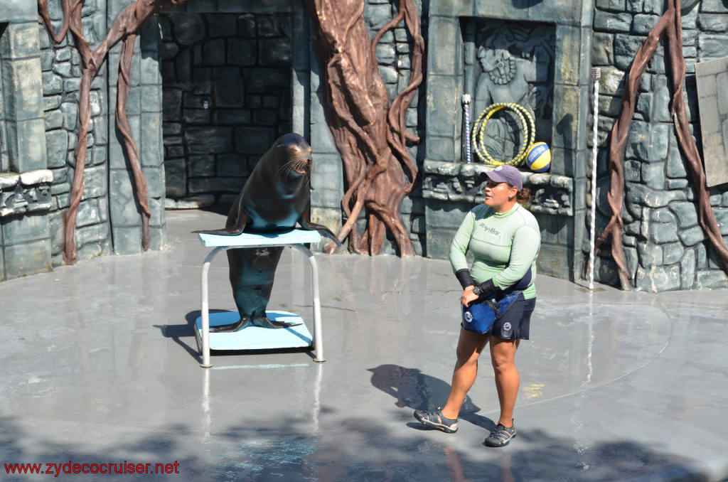 208: Carnival Conquest, Cozumel, Chankanaab,  (free) Sea Lion Show, 