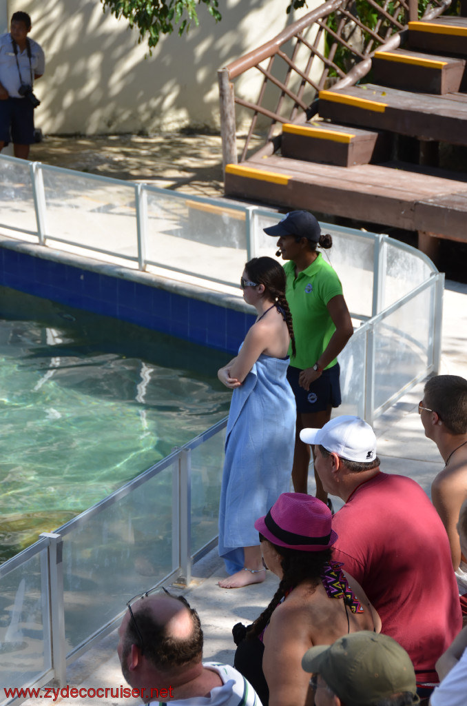 223: Carnival Conquest, Cozumel, Chankanaab,  (free) Sea Lion Show, 